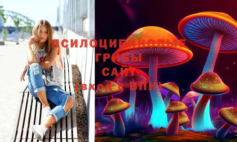 KRAKEN ССЫЛКА  купить закладку  Полтавская  Галлюциногенные грибы MAGIC MUSHROOMS 